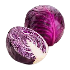 RED CABBAGE